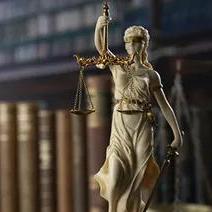 Law Firm