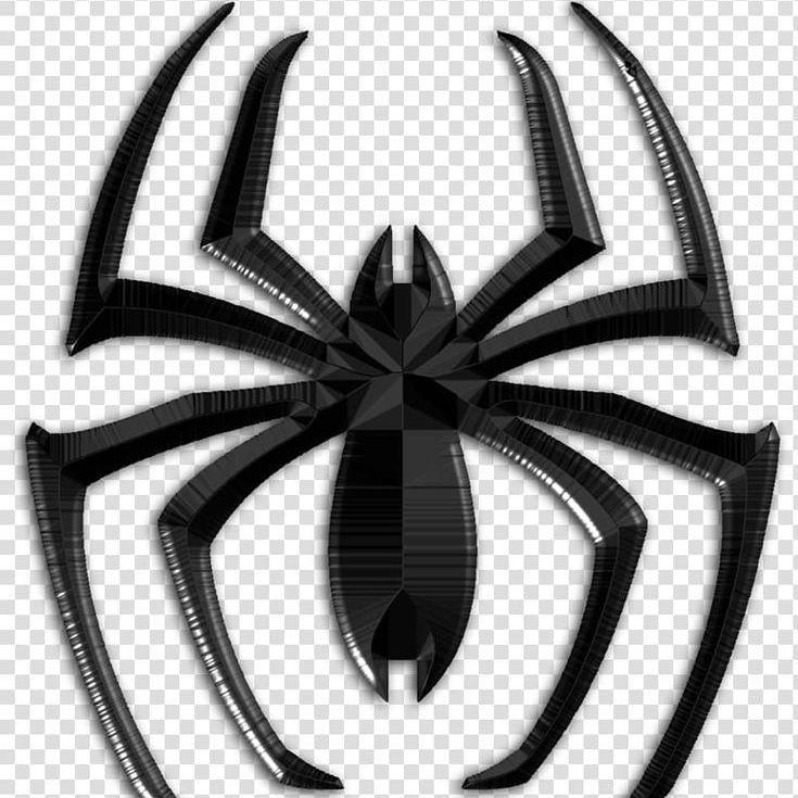 spder11