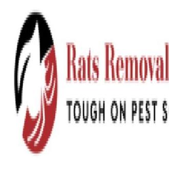 Ratsremoval Melbourne