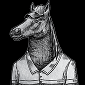 The Knight Of Notting Hill