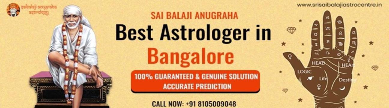 Srisaibalaji Astrocentre