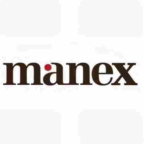 Manex Consulting