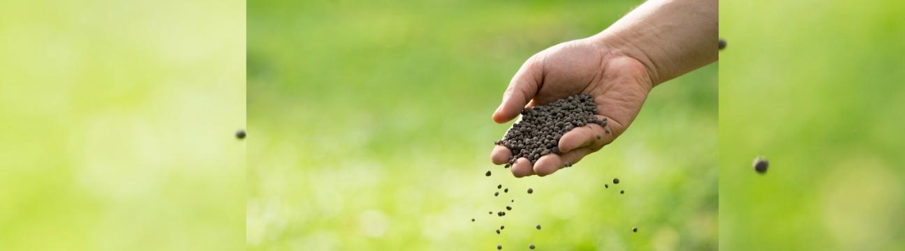 NAQ Global Green Technology