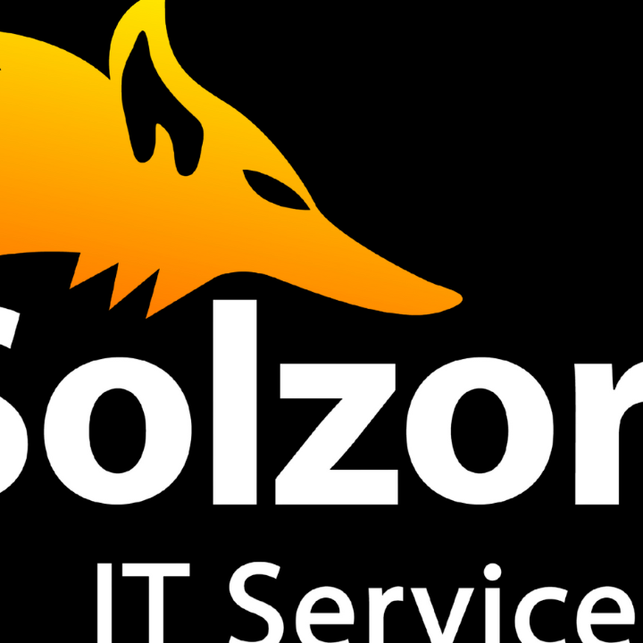 solzorroitservices2