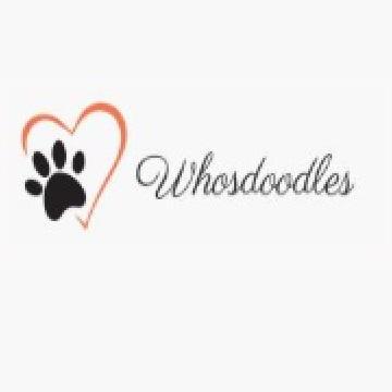whosdoodles