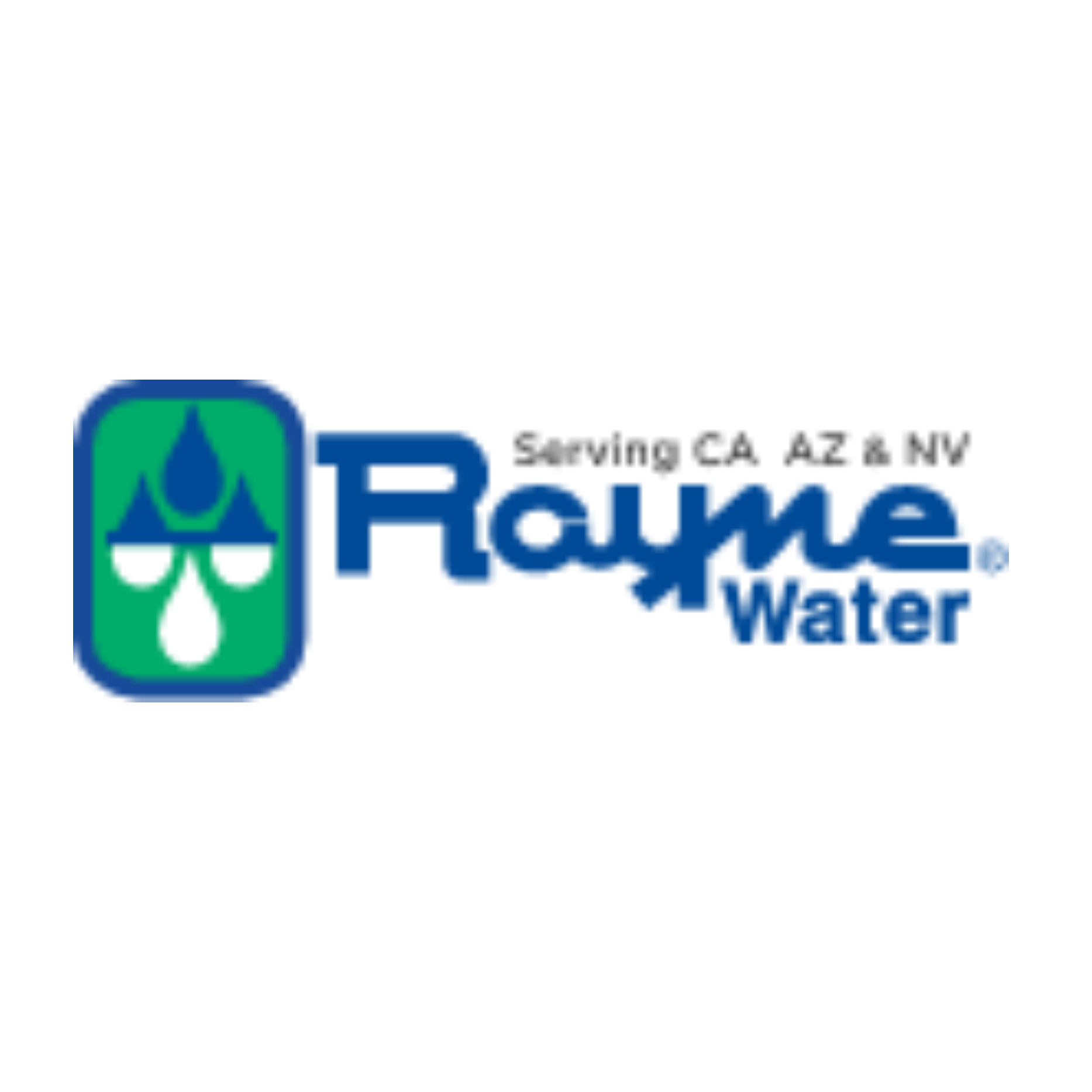raynewaterseo