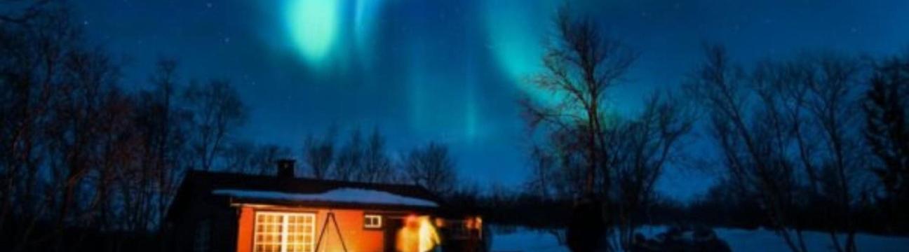 Arctic Midnight  Group