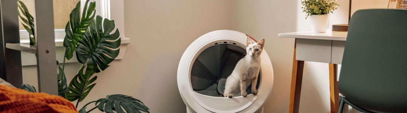 Litter Robot Lt