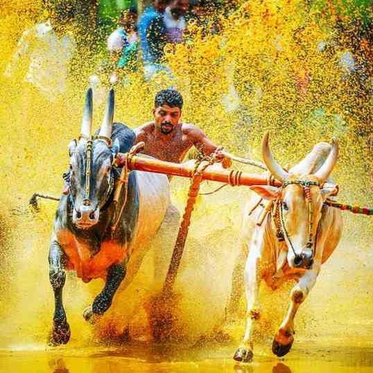 besttraveltourpackege