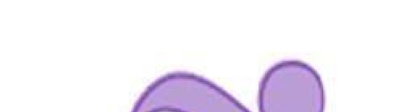 Rec Center Physical Therapy