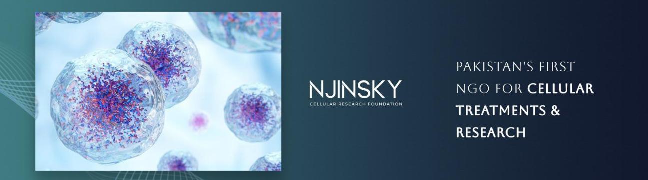 Njinsky Foundation