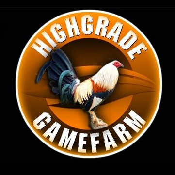 gamefowlsforsale