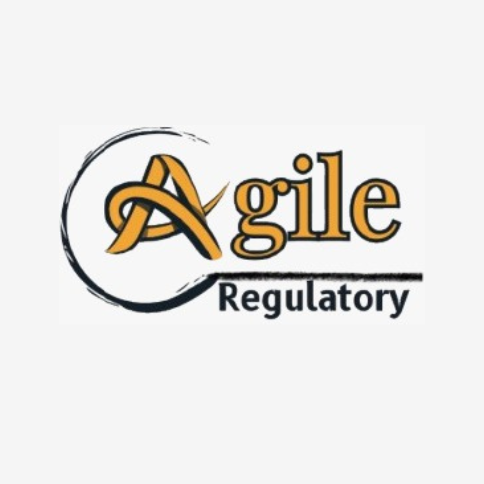 agileregulatory3