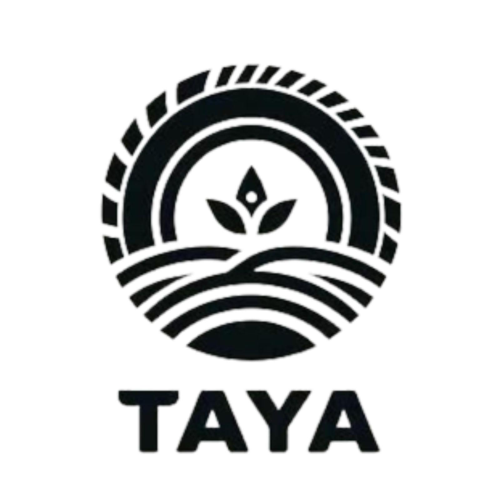 tayareifenentsorgung