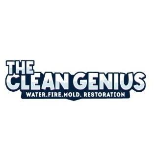 thecleangenius
