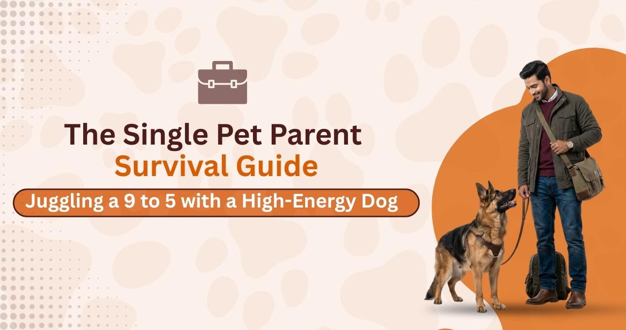 The Single Pet Parent Survival Guide: Juggling a 9-to-5 with a High-Energy Dog