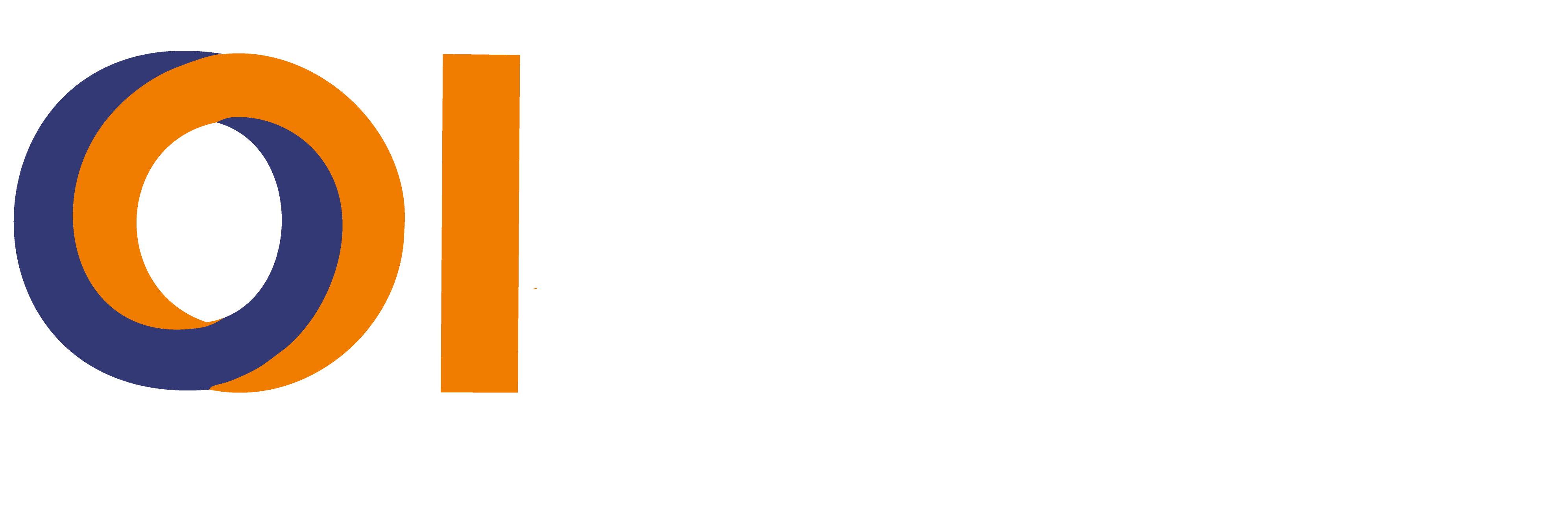 Orbit Infotech