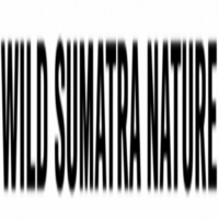 Wild Sum