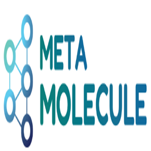 Meta Molecule